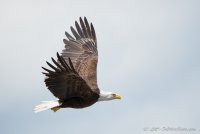 DSC_9312.JPG