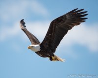 DSC_9368.JPG