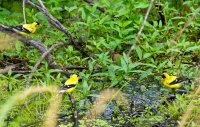 _DSC8719.jpg