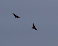 _DSC8424.jpg