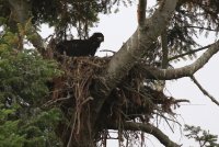 01.JPG