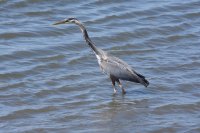 DSC_1806.jpgfull.jpg4.jpg