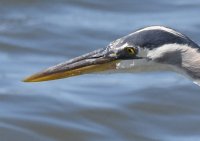 DSC_1806.jpg100.jpg
