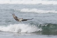 20150712-2R6A8840_export-2.jpg