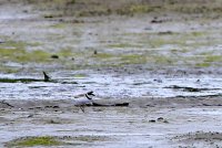 03.JPG