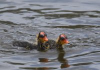 DSC_2749.jpg