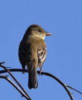 DSC_2932.jpg