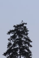 01.JPG