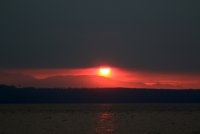 06.JPG