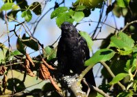 DSC_3747.jpg