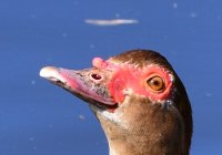 DSC_3767.jpg 2.jpg