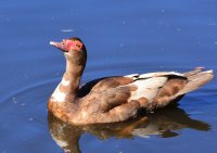 DSC_3767.jpg