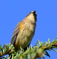 DSC_3787.jpg