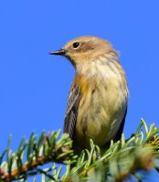 DSC_3789.jpg