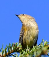 DSC_3790.jpg