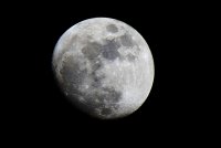 IMG_4804 crop sm.jpg