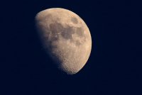 IMG_4020 crop sm.jpg