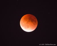 lunar 1.jpg