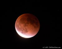 lunar 2.jpg