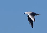 DSC_3954.jpg