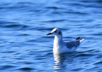 DSC_3986.jpg