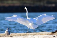 DSC_4312.jpg