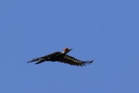 20.JPG