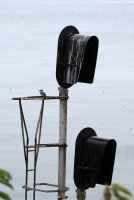 02.JPG