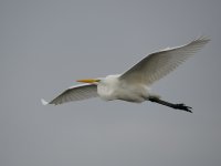 DSC_1512.jpg