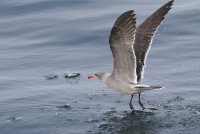 05.JPG
