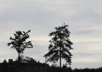 01.JPG