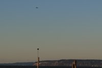 09.JPG