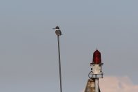 04.JPG