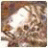 CameronGC