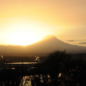 Sunrise Over Mt Rainier