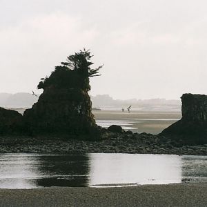 Coastal Silhouette