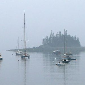 Cluster of Sailboats
