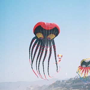 Kite Festival and More