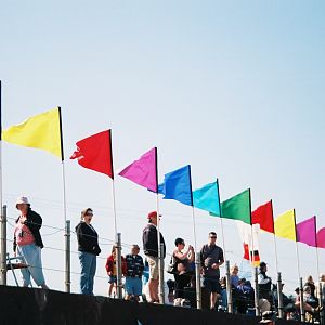 Kite Festival & More