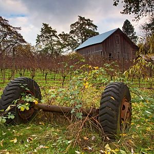 Barn, vines and an axle.