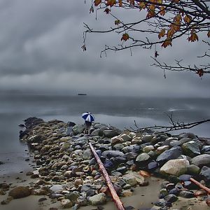 Umbrella on the Rocks