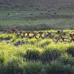 Idaho fence