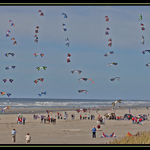 A Sea Of Kites