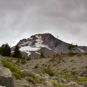 Summer turns to Fall on Mount Hood