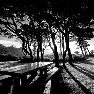 Bench in the Shadows