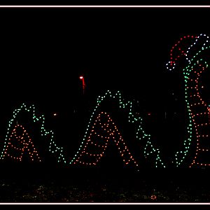 Christmas Visions in Long Beach Washington 2010