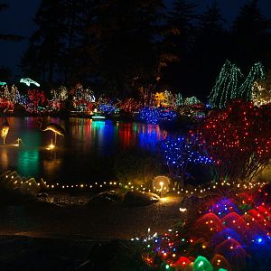 Christmas light display
