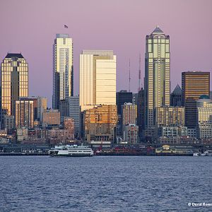 Golden Reflections of Seattle