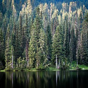 Reflection Lake, Mt. Rainier National Park, Washington