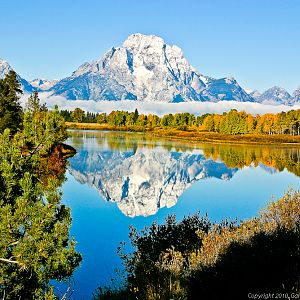 Mt. Moran From Oxbow Bend